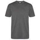 Orn Plover Premium T-shirt